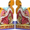 Designer Vinyl>Garfield - XXPOSED 7" Statue