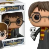 Standard Pop!>Harry Potter - Harry with Hedwig Pop! Vinyl Figure