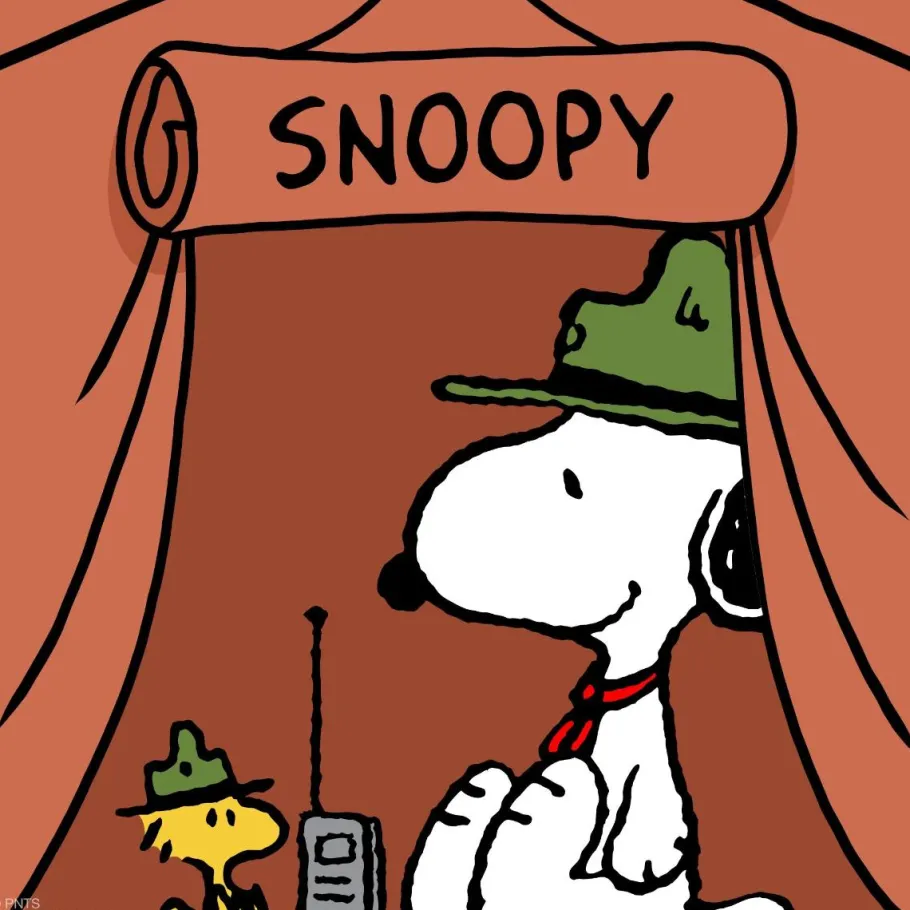 Designer Vinyl>Peanuts - Beagle Scout Snoopy & Woodstock Supersize 13" Vinyl Figure 2-Pack